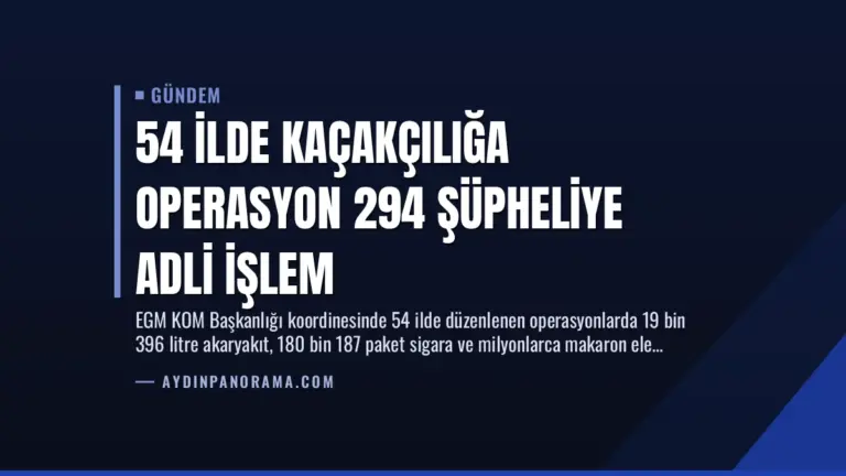 54 İlde Kaçakçılığa Operasyon 294 Şüpheliye Adli İşlem