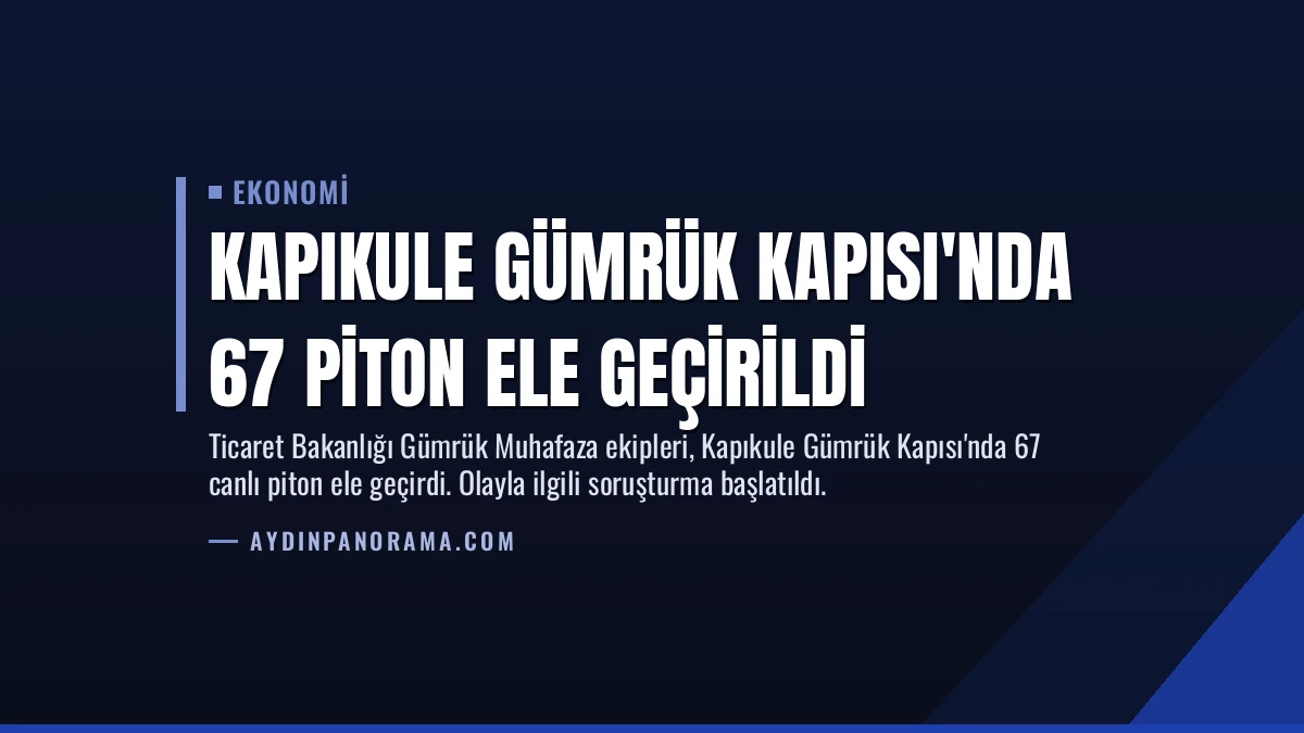 Kapıkule Gümrük Kapısı’nda 67 Piton Ele Geçirildi