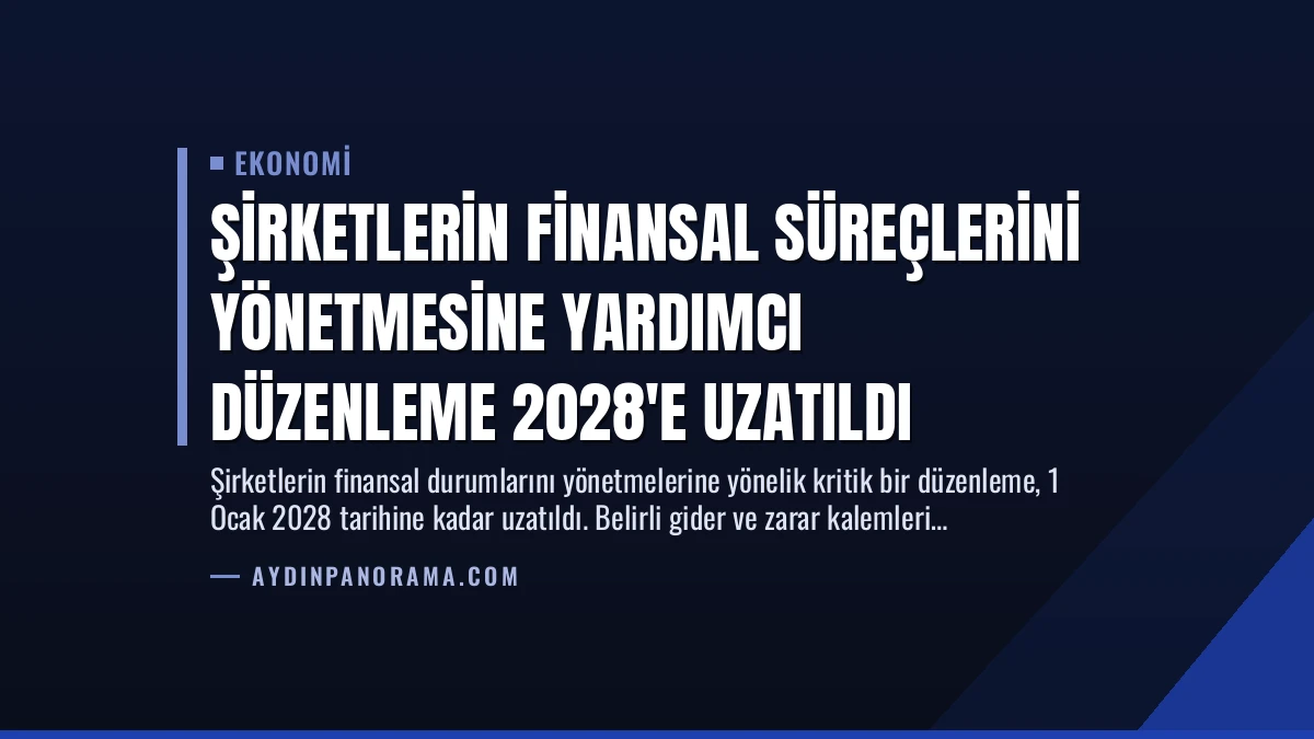 Şirketlerin Finansal Süreçlerini Yönetmesine Yardımcı Düzenleme 2028’e Uzatıldı