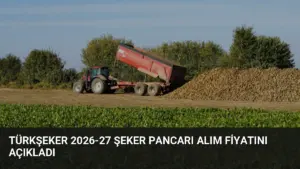TüRKŞEKER 2026-27 Şeker Pancarı Alım Fiyatını Açıkladı